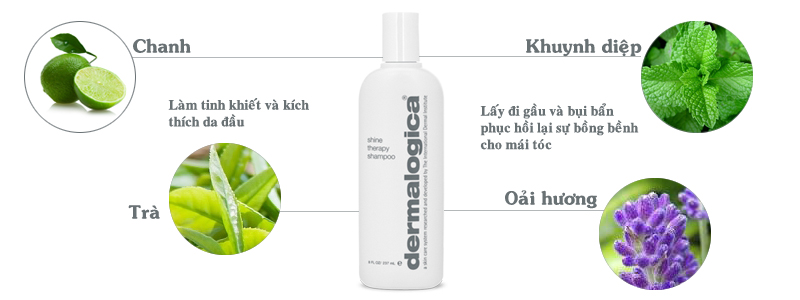 Dầu gội Shine Therapy Shampoo