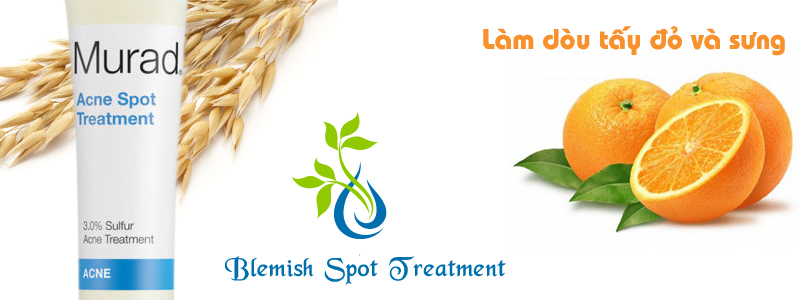 Gel chấm mụn Blemish Spot Treatment