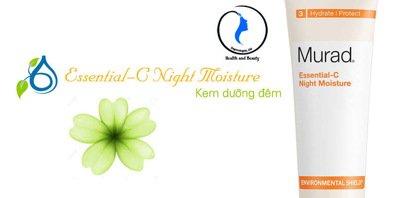 Kem dưỡng đêm Essential-C Night Moisture