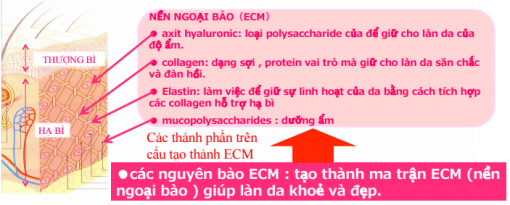 Đẹp mỗi ngày
