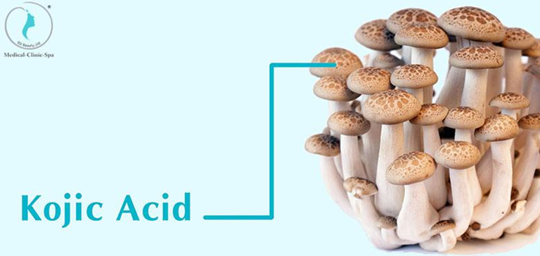 Hoạt chất Kojic Acid
