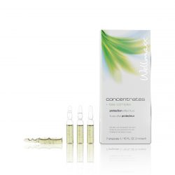 Huyết thanh chống oxy hóa Wellmaxx Concentrates Tea Complex Protection Effect Fluid