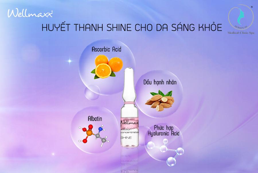 Bảng thành phần siêu đỉnh của Wellmaxx Phase2 SHINE