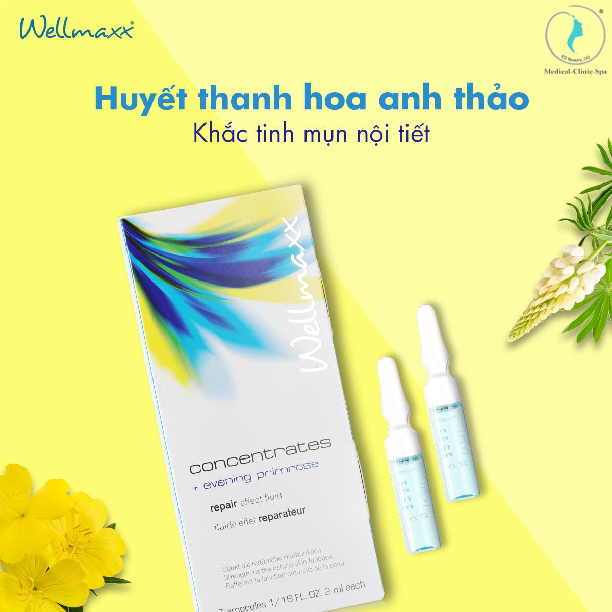 Wellmaxx Concentrates Evening Primrose Repair Effect Fluid chiết xuất từ hoa anh thảo