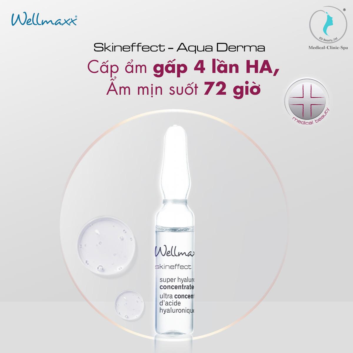 Giải pháp cung cấp HA gấp 4 lần với Wellmaxx Skin Effect Super Hyaluron