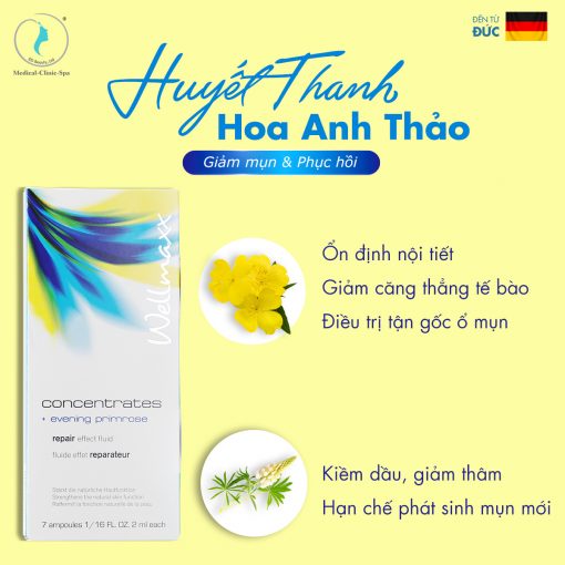 Huyết thanh Wellmaxx Hoa Anh Thảo dành cho peel da mụn