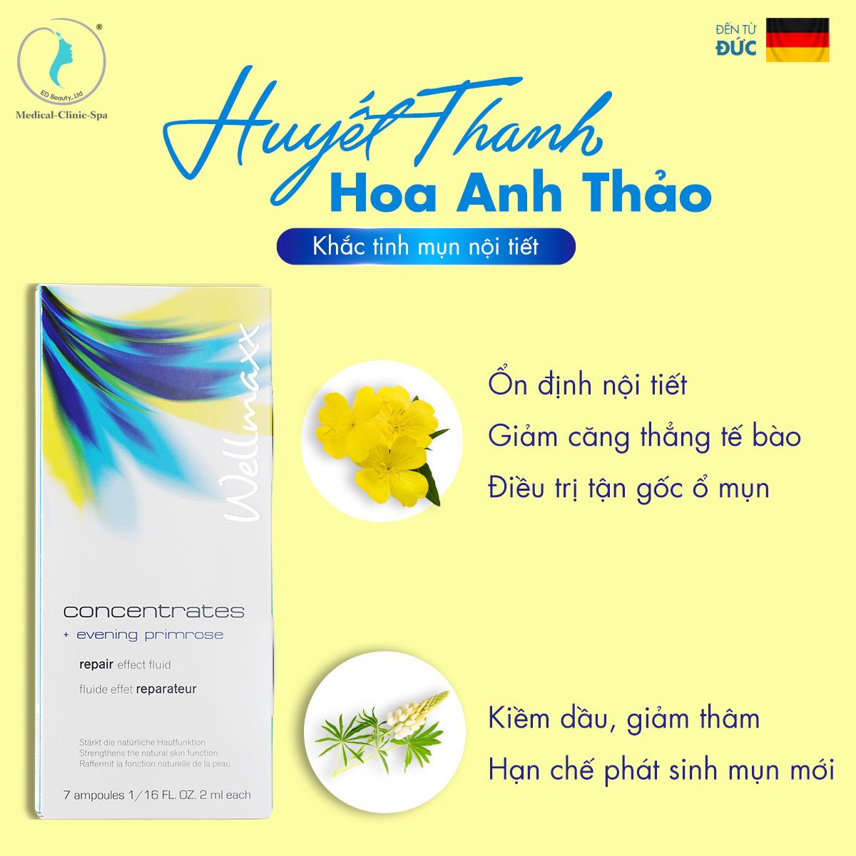 Huyết thanh Wellmaxx hoa anh thảo dành cho cho làn da mụn