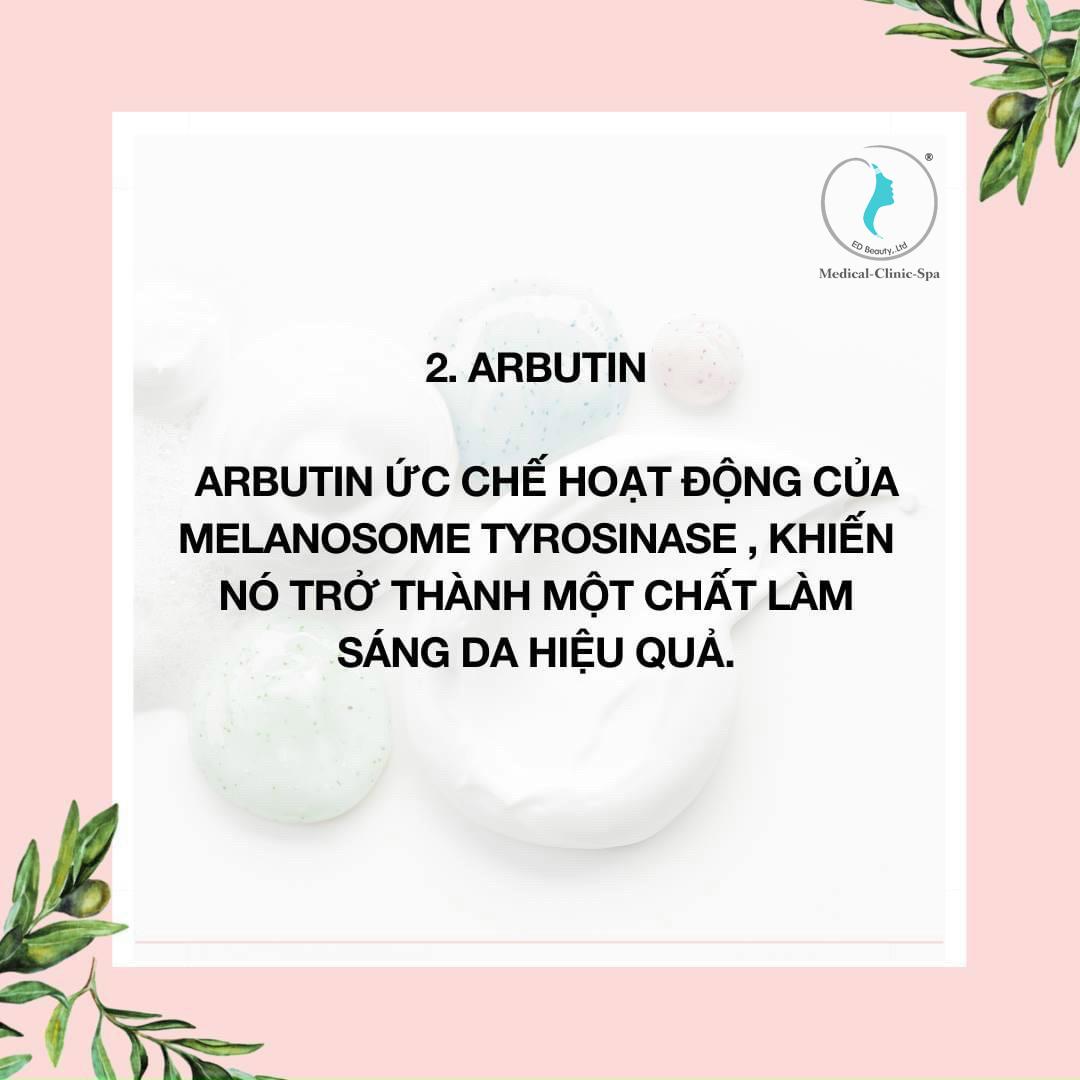 Thành phần Arbutin cải thiện sắc tố da, nám, tàn nhang