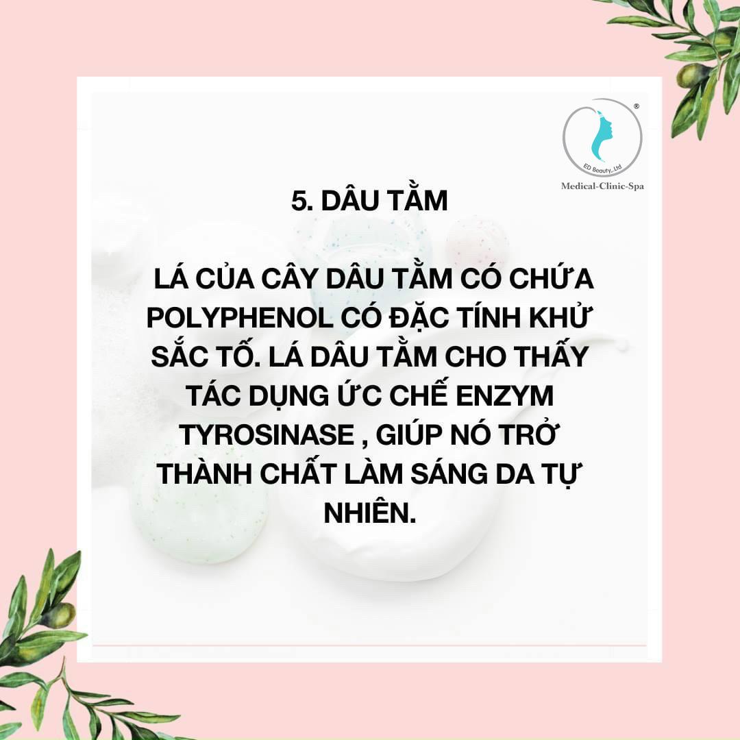 Thành phần chiết xuất Dâu Tằm cải thiện sắc tố da, nám, tàn nhang