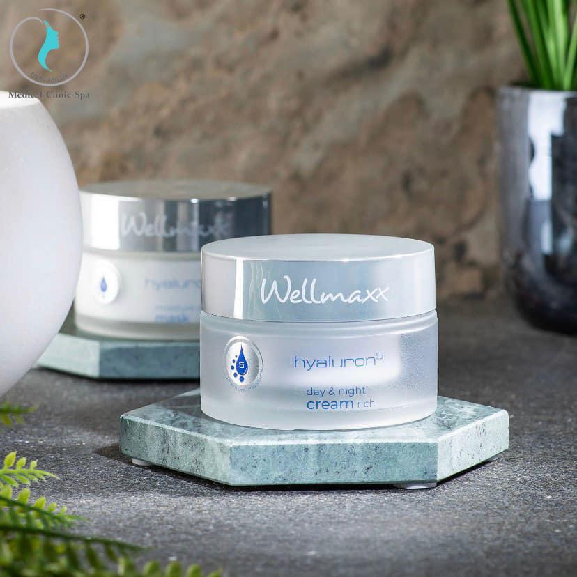 Thoa Wellmaxx Hyaluron Day & Night Cream Rich để dưỡng ẩm chuyên sâu