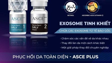 Công dụng vượt trội của phương pháp làm đẹp da bằng Exosome Asce+ Derma Signal Kit
