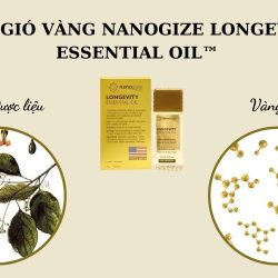 Dầu gió vàng Nanogize Longevity Essential Oil™ có công dụng gì?