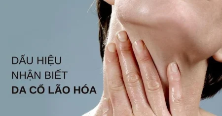 Lão hóa da vùng cổ