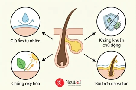 Giải pháp điều tiết bả nhờn