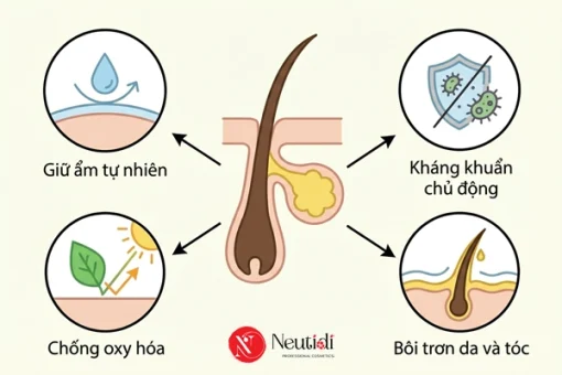 Giải pháp điều tiết bả nhờn