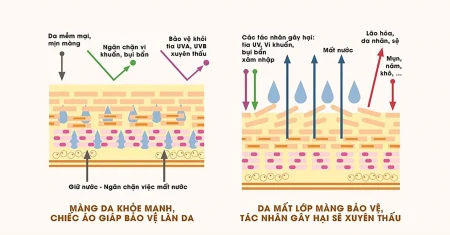 Công dụng của sản phẩm Image Skincare