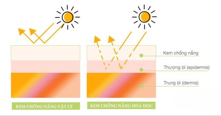Giải pháp nuôi dưỡng da